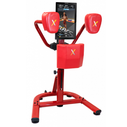 Детский тренажер для отработки ударов. Nexersys N3 Youth Model